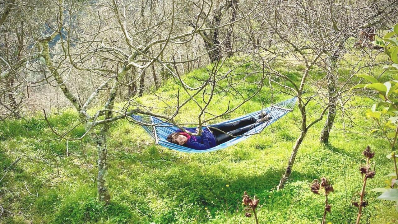 Bed and Breakfast Benvenuti Nel Sud Sessa Cilento Exterior foto