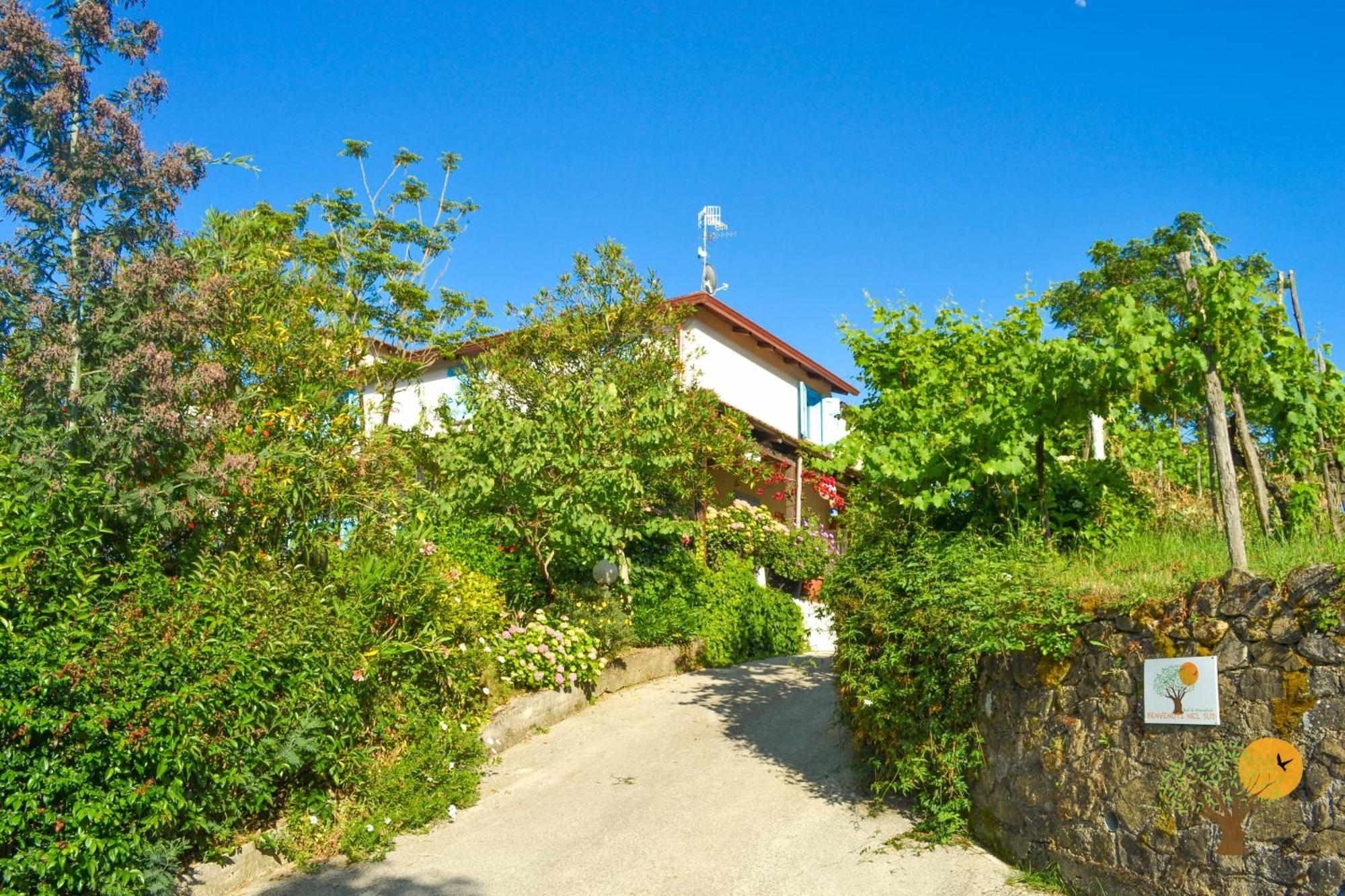Bed and Breakfast Benvenuti Nel Sud Sessa Cilento Exterior foto