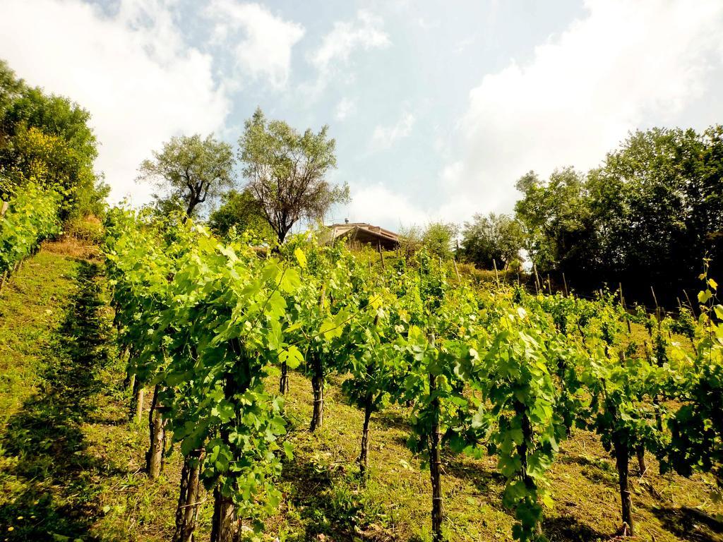 Bed and Breakfast Benvenuti Nel Sud Sessa Cilento Exterior foto